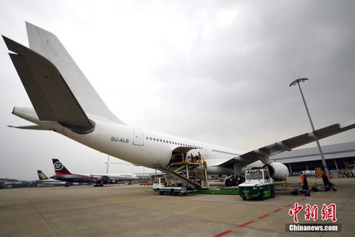 国际货运航班纷纷来穗 提货 广州白云机场全力保障